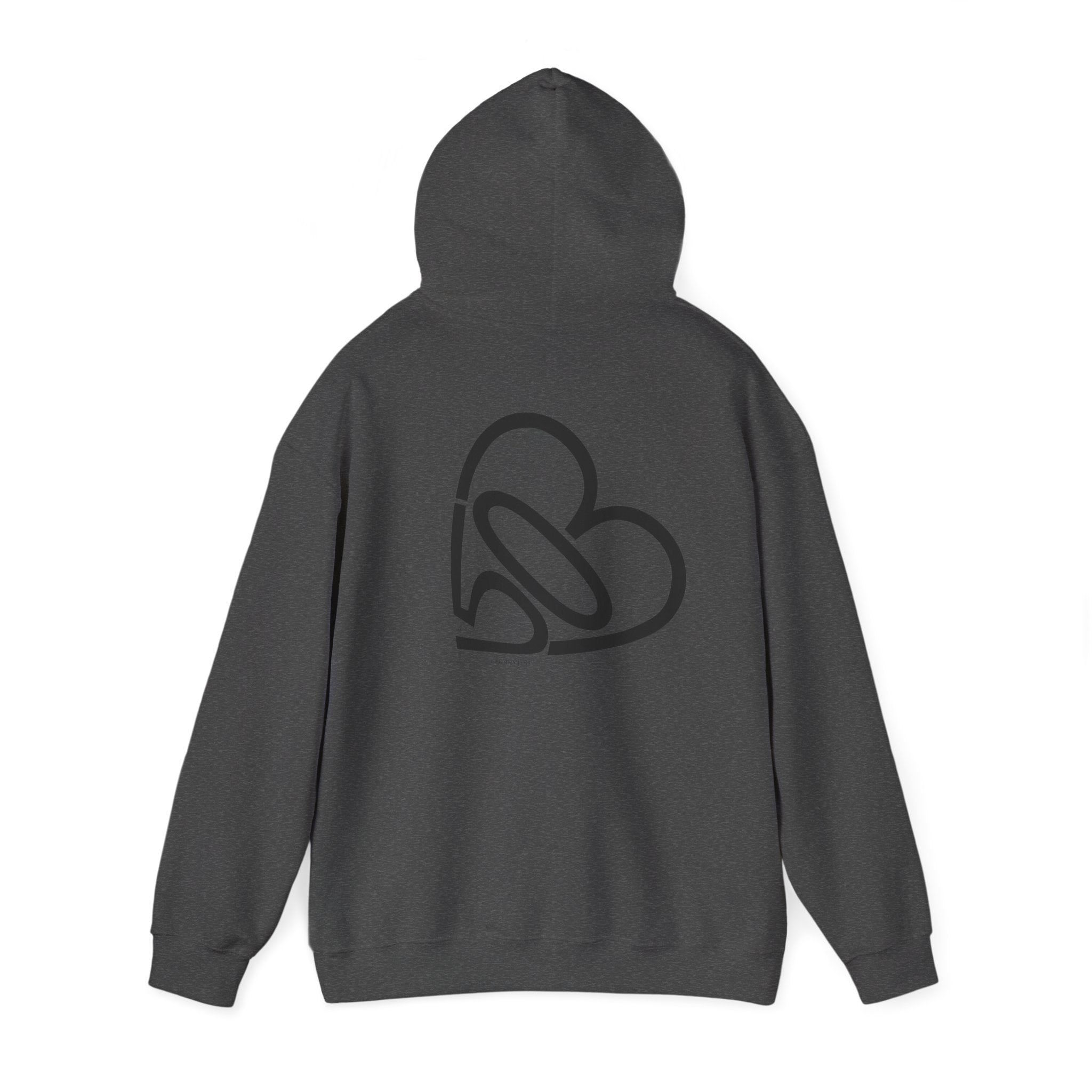 Unisex RESIST + 503heart Hoodie — Solidarity & Love PDX Pullover — Full Back
